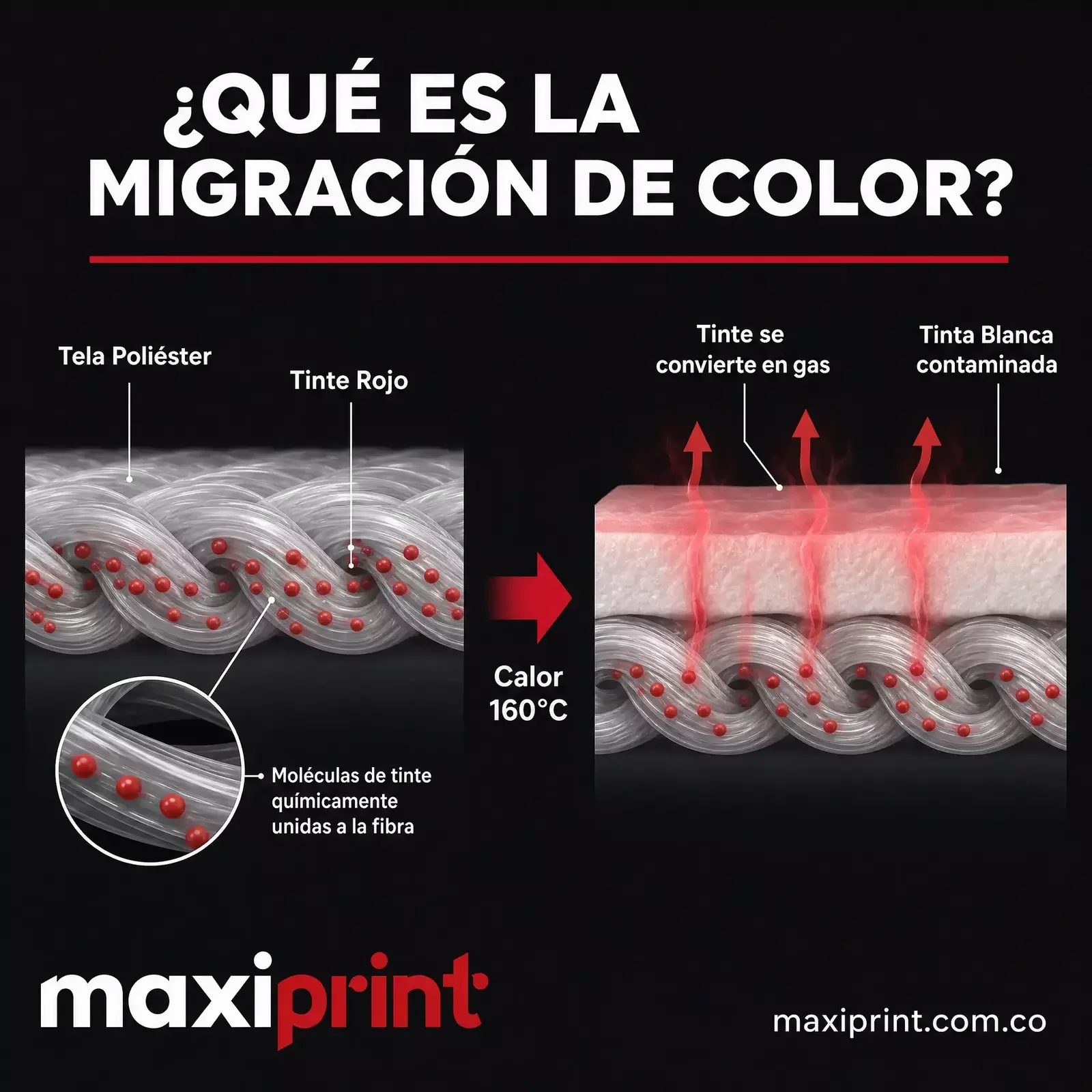 Proceso de migración del colorante disperso de la tela de poliéster hacia el plastisol impreso